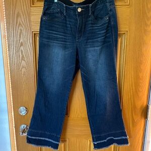 Democracy Blue Ankle Cropped Jeans with Wide-Leg Flare